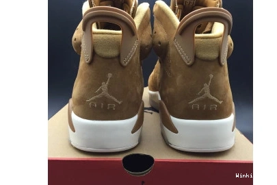 Wheat Retro Jordan 6 0820